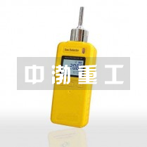 氫氣檢測(cè)儀